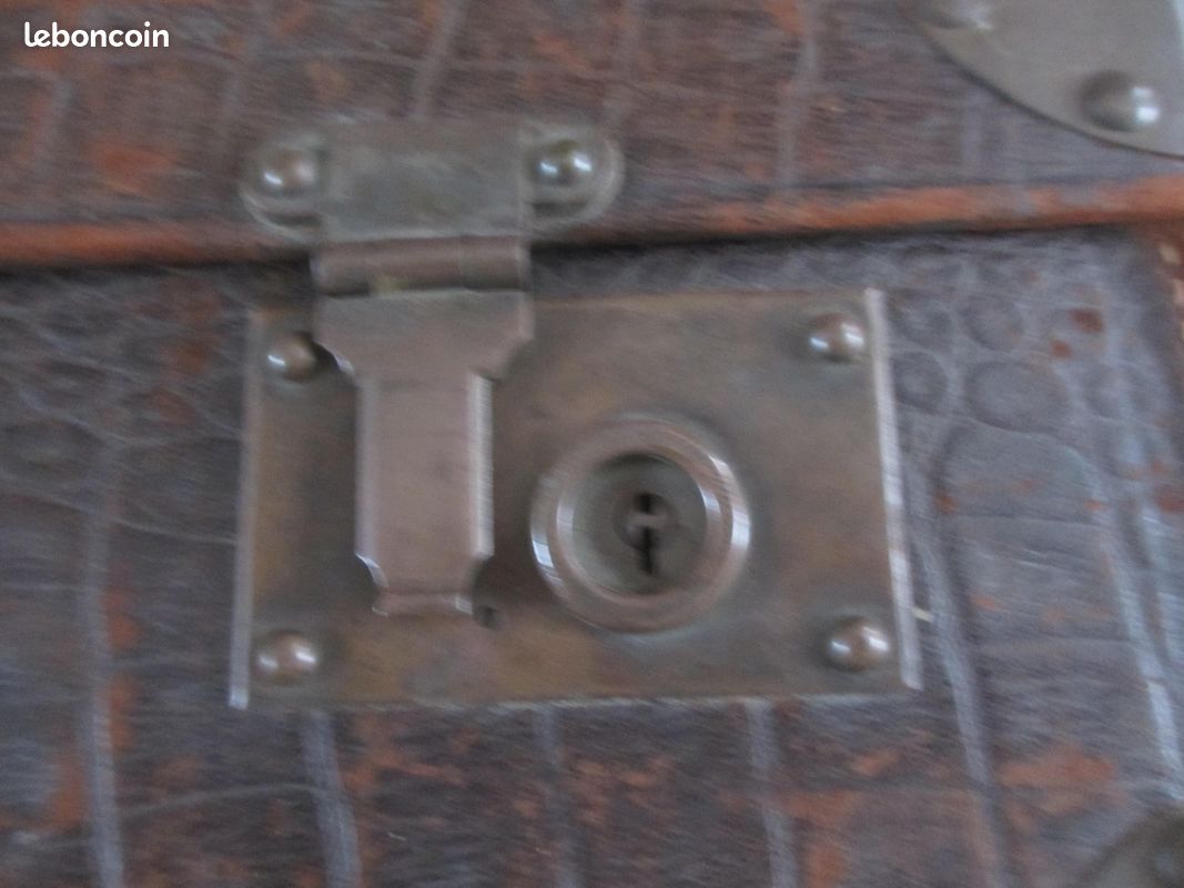 Ancienne valise en cuir effet crocodile (image 10)