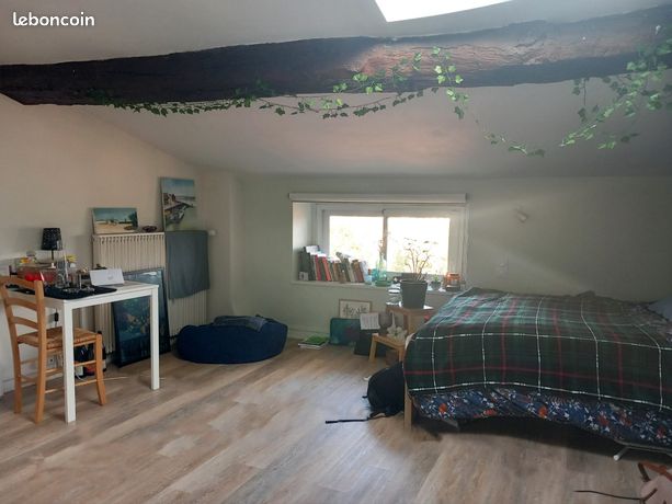 Studio 1 pièce 21 m²