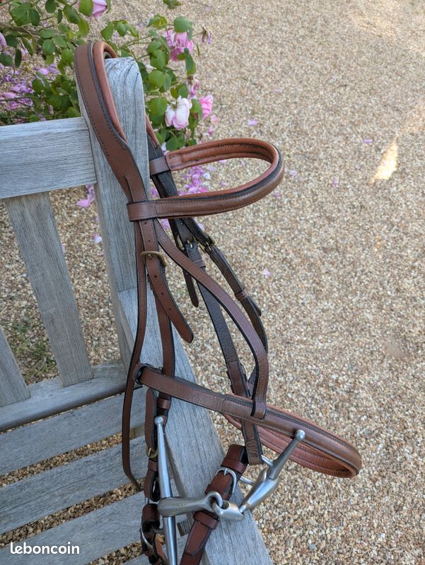 Équipement du cheval – tagged Mors et accessoires