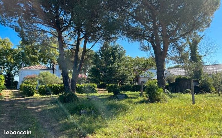 Terrain 1 110 m² Toulenne
