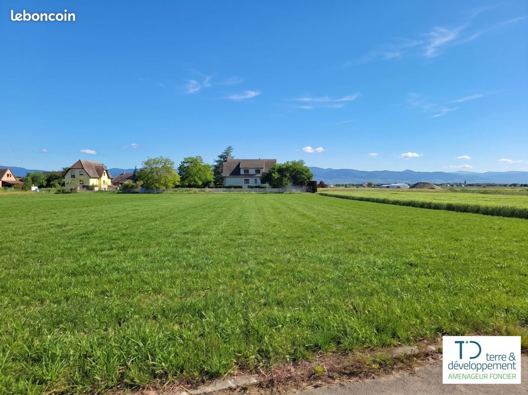Terrain de 349 m² à NIEDERHERGHEIM (HAUT-RHIN) · 92 220 €