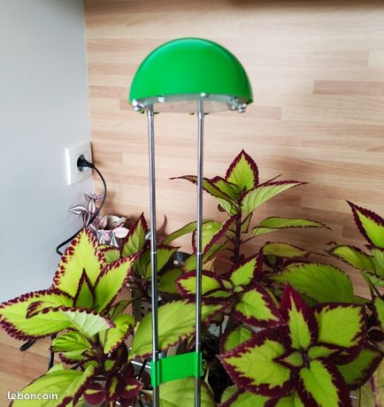 RÖDFLIK lampadaire/liseuse, gris vert