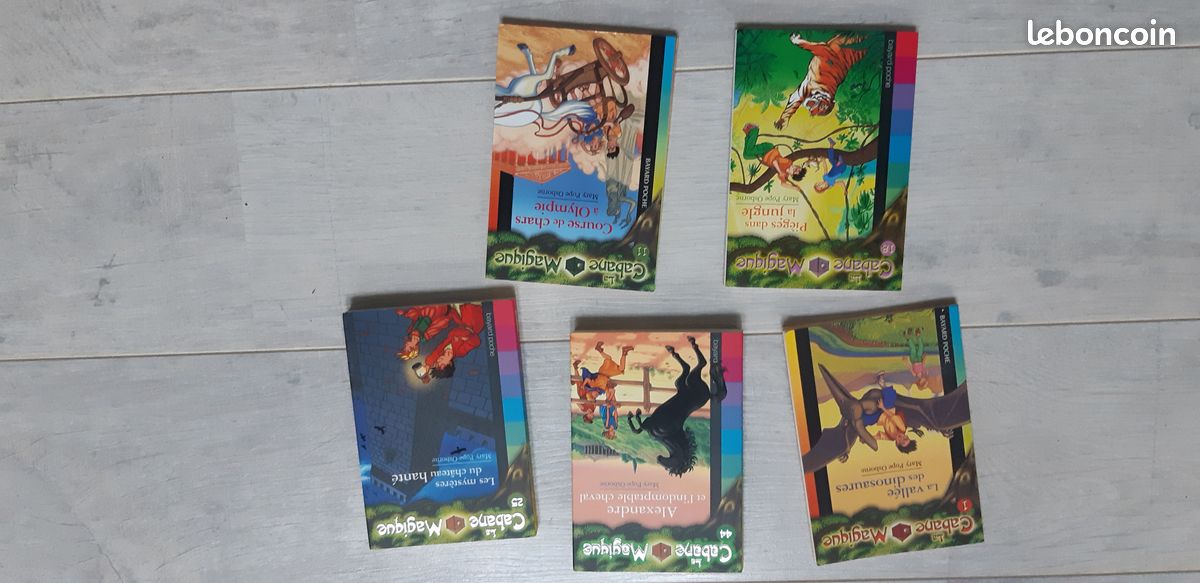 Livre cabane magique (image 1)