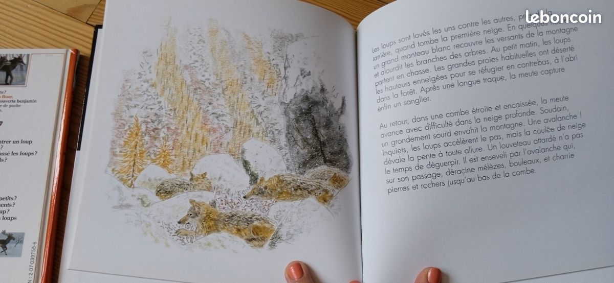 Lot de 2 livres jeunesse les loups (image 5)