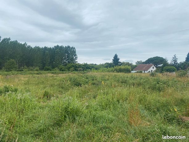 Terrain 3379 m² LABRIT