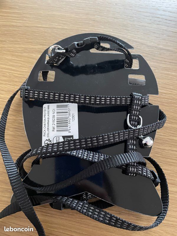 Vends collier harnais et laisse pour chaton (image 1)