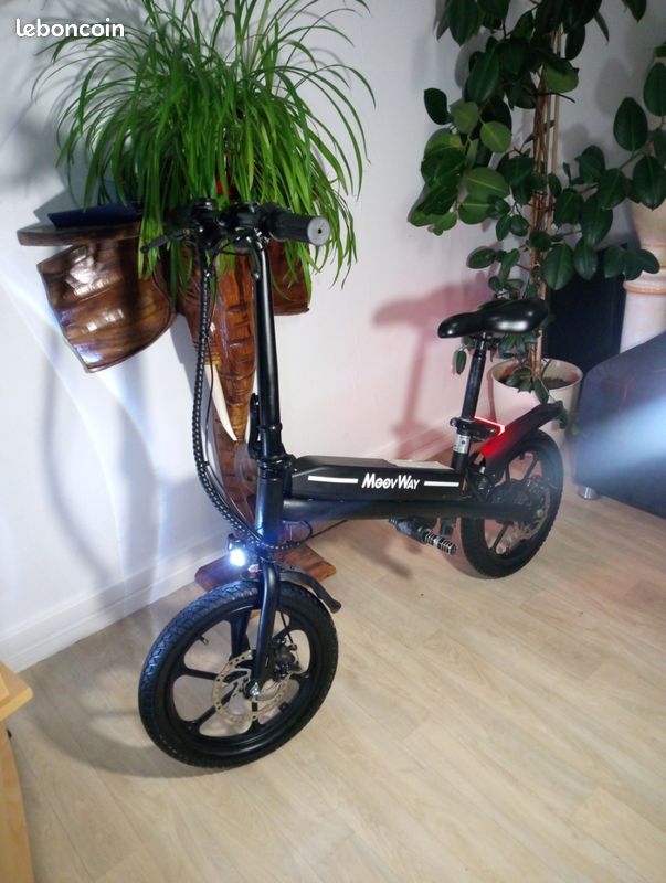 Draisienne electrique (image 1)
