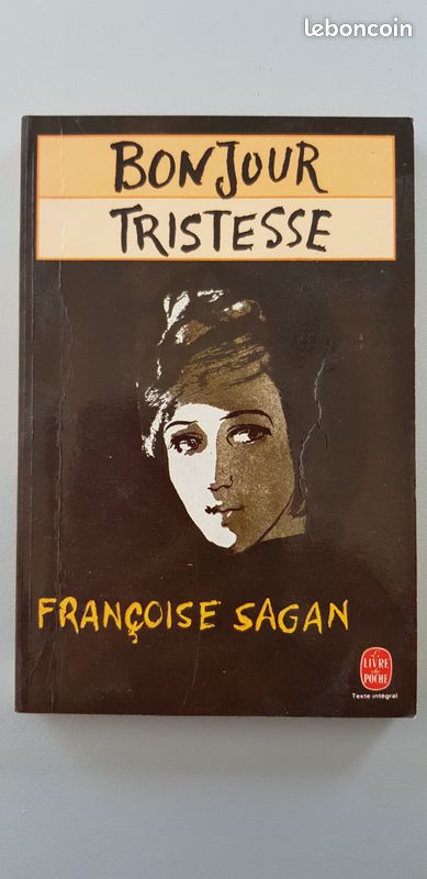 Bonjour Tristesse de SAGAN (image 1)