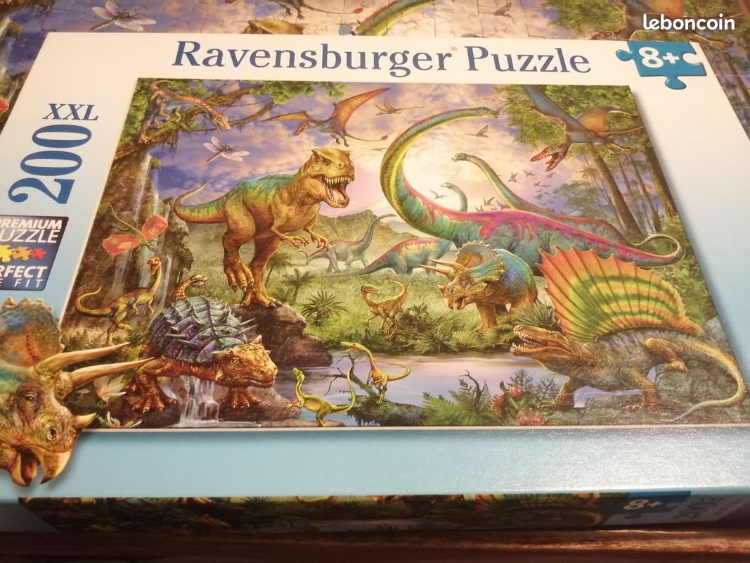 Puzzle dinosaure 8+ (image 1)