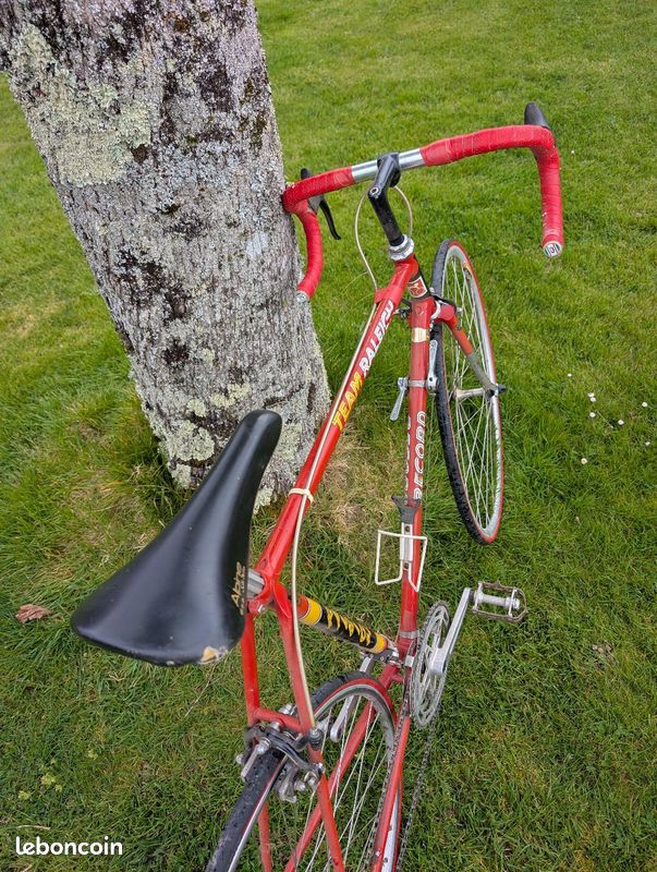 Vélo De Course Vintage Raleigh Team Record - Cadre Acier 57cm, 10 Vitesses