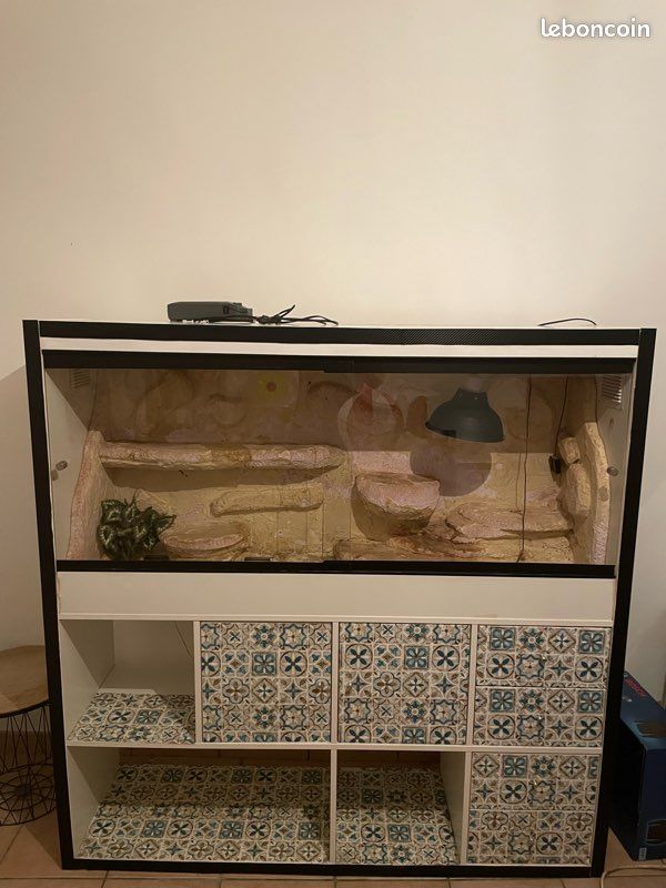 Meuble de salon terrarium intégré (image 1)