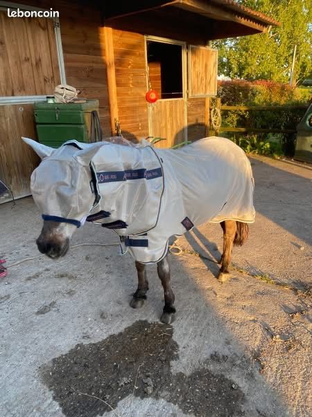 Couverture Horseware d'extérieur Rambo Wug 0g
