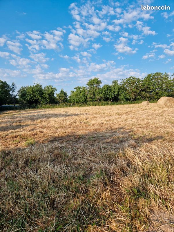 Terrain de construction · à Treigny-Perreuse-Sainte-Colombe · 12 500 €