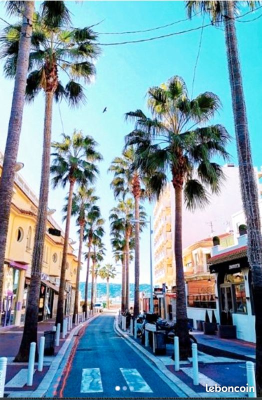 Appartement a louer antibes - 1 pièce(s) - 23 m2 - Surfyn