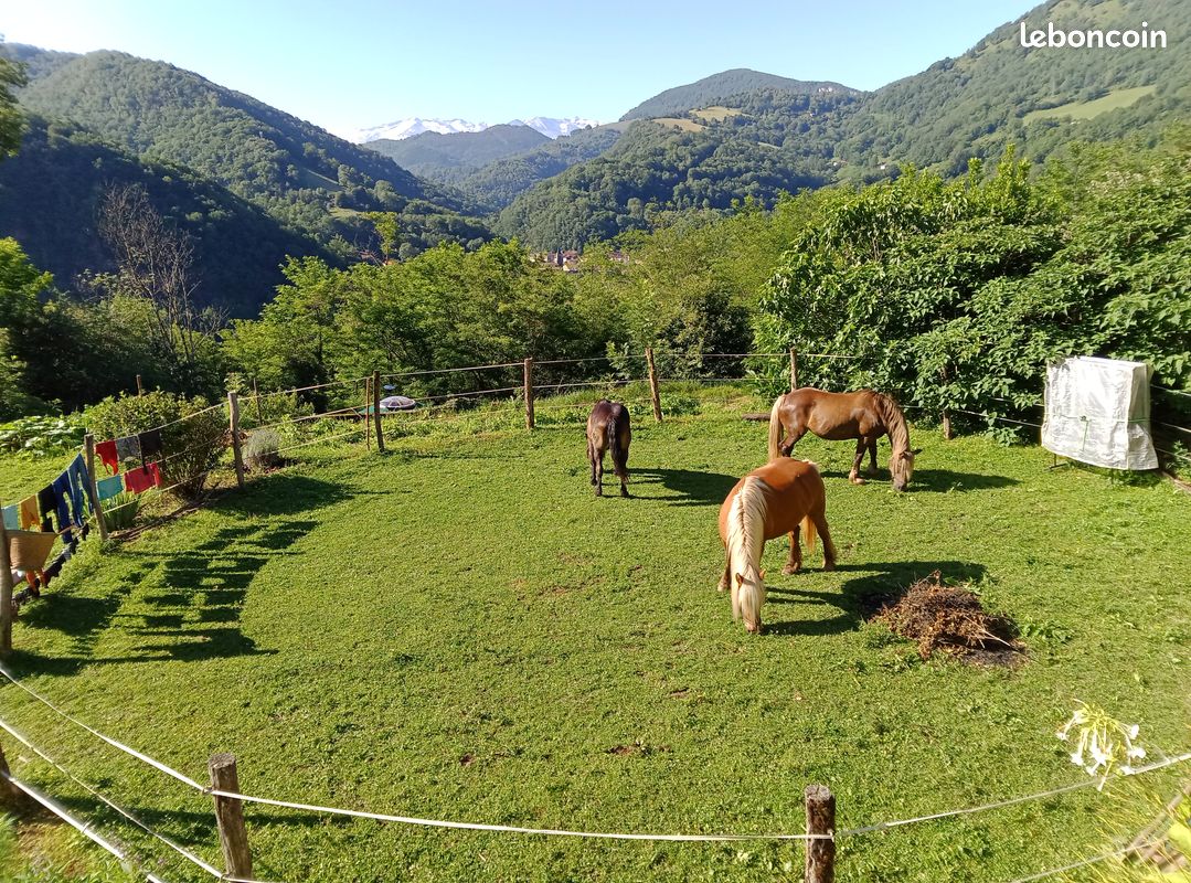 Location gîte 3 chambres dans ferme equestre (image 13)