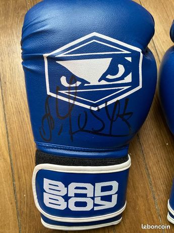 Gant De Boxe Illustration Dessinée à La Main | Vecteur Premium