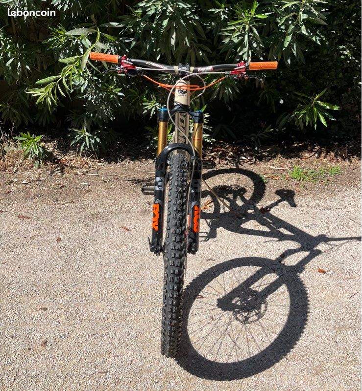 Pivot Firebird 29 (image 4)
