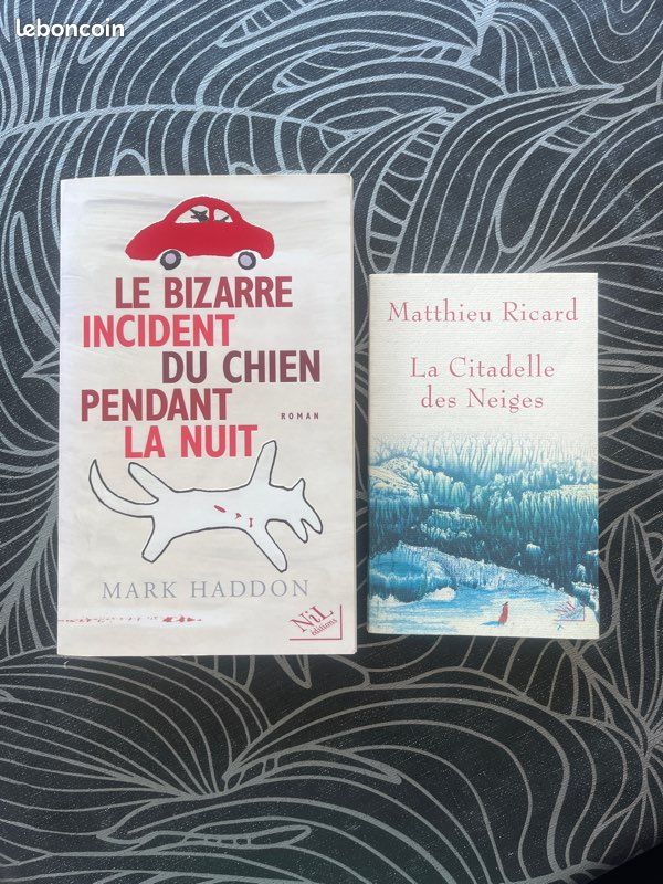Lot de romans Mark Haddon et Matthieu Ricard (image 1)
