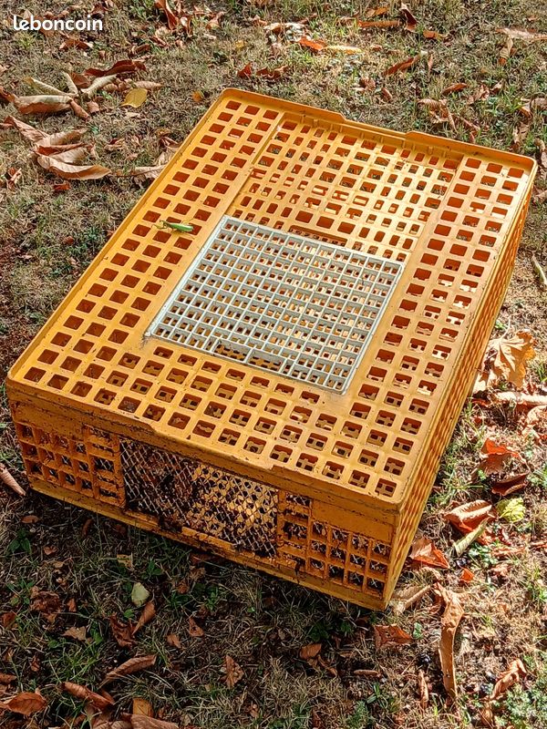 Cage pour transport volaille et autre (image 2)