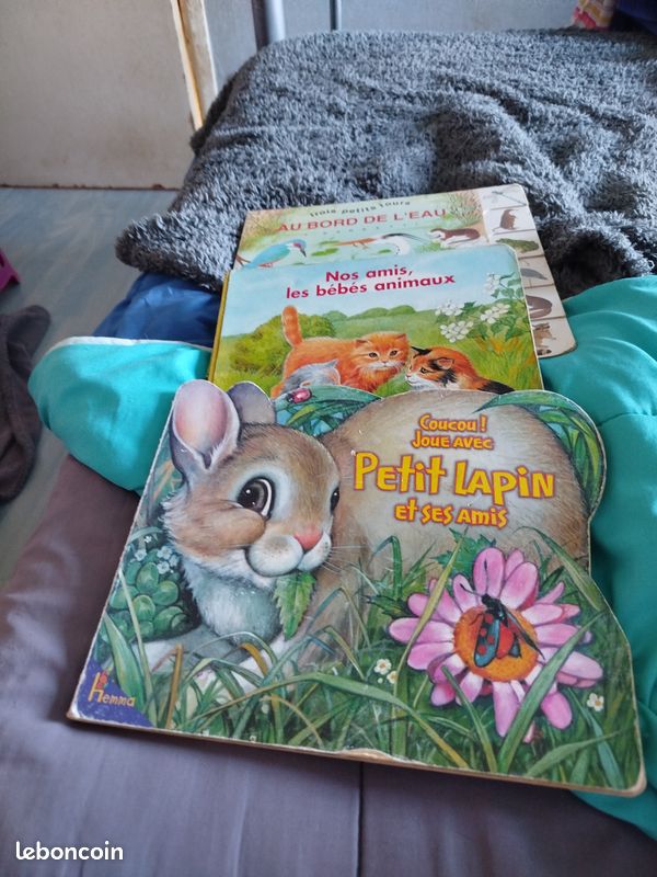 Livres enfants (image 4)