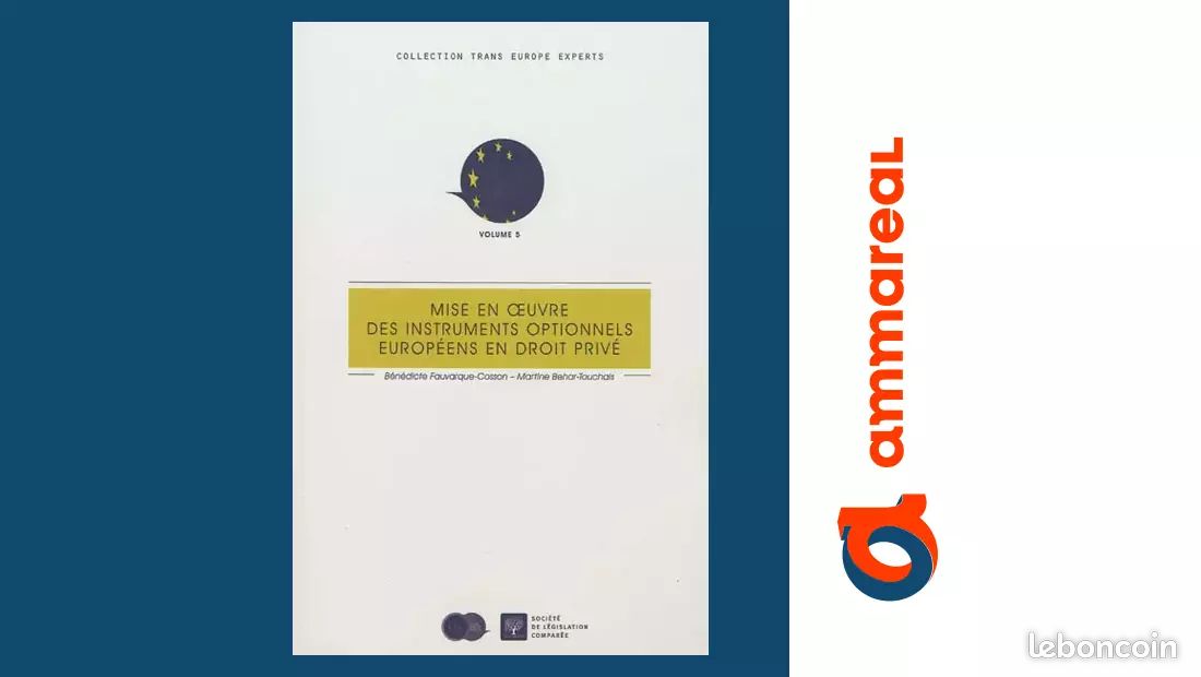 MISE EN OEUVRE DES INSTRUMENTS OPTIONNELS EUROPÉENS DE DROIT PRIVÉ - Martine Béhar-Touchais e... (image 1)