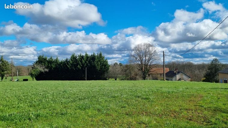Terrain 1 655 m² Salon