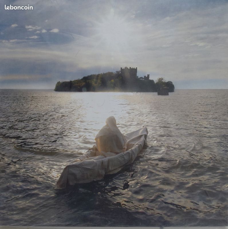 Vinyle Shearwater (image 1)