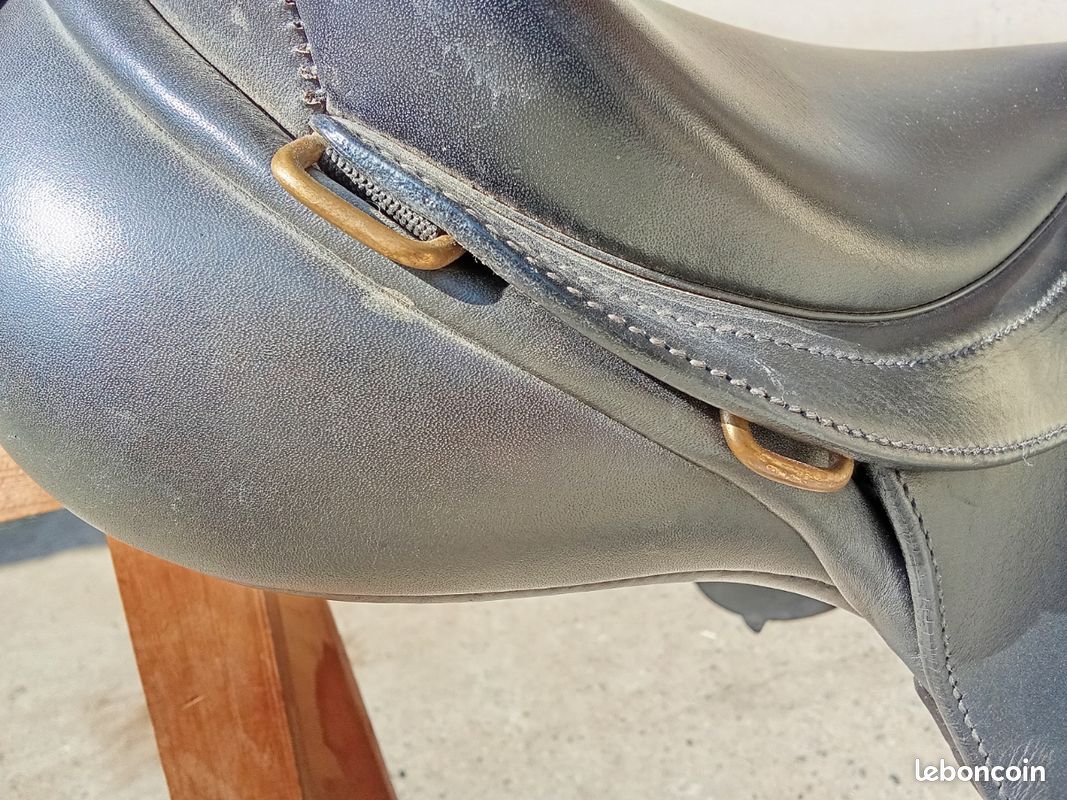 Selle mixte Bates Caprilli 17,5" (image 5)