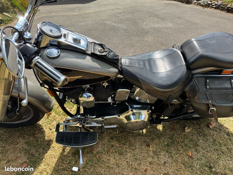 Harley Davidson (image 2)