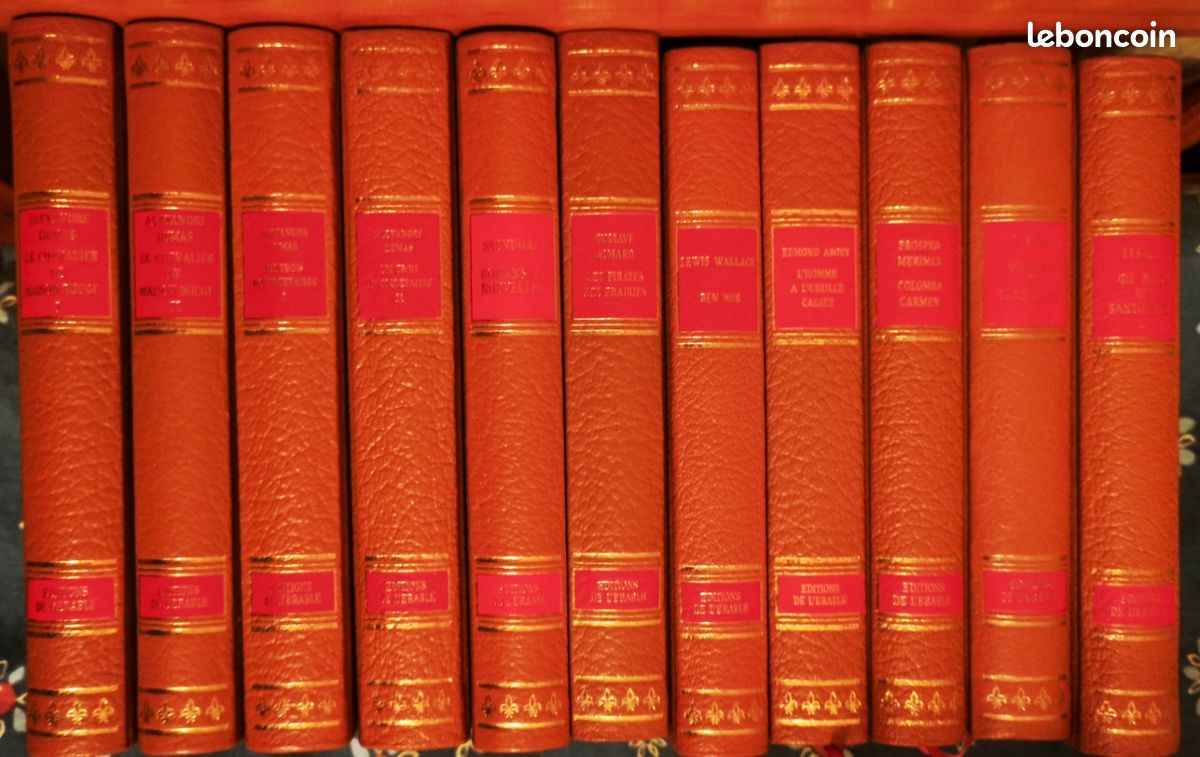 Collection roman grands auteurs classiques (image 5)