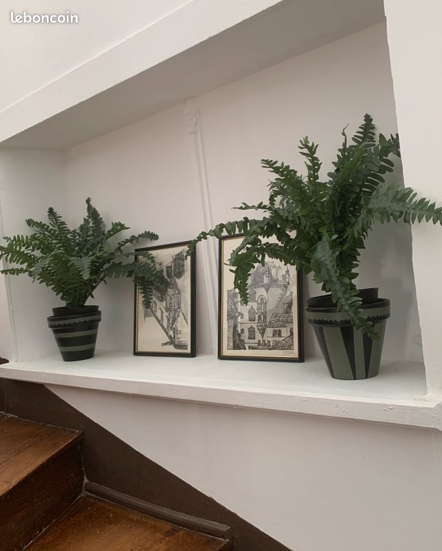 Grande chambre COLOCATION (gaz, eau, internet, électricité inclus) (image 9)