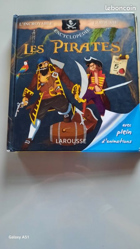 Les pirates (image 1)