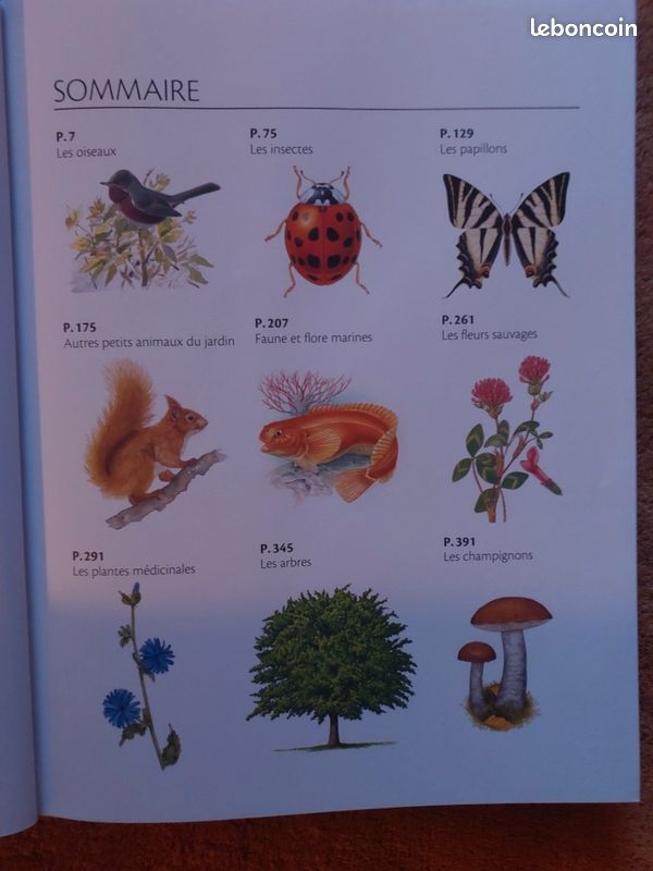 Le guide marabout de la nature (image 6)