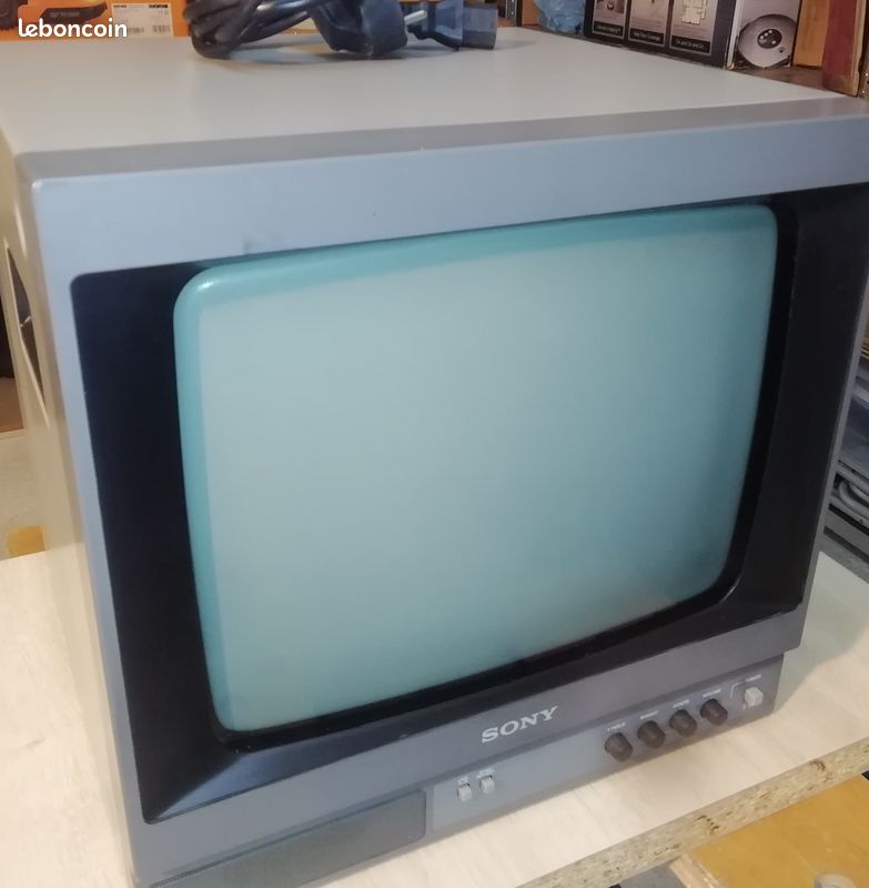Moniteur Sony PVM145E - 14 Pouces CRT Noir Et Blanc, Analogique