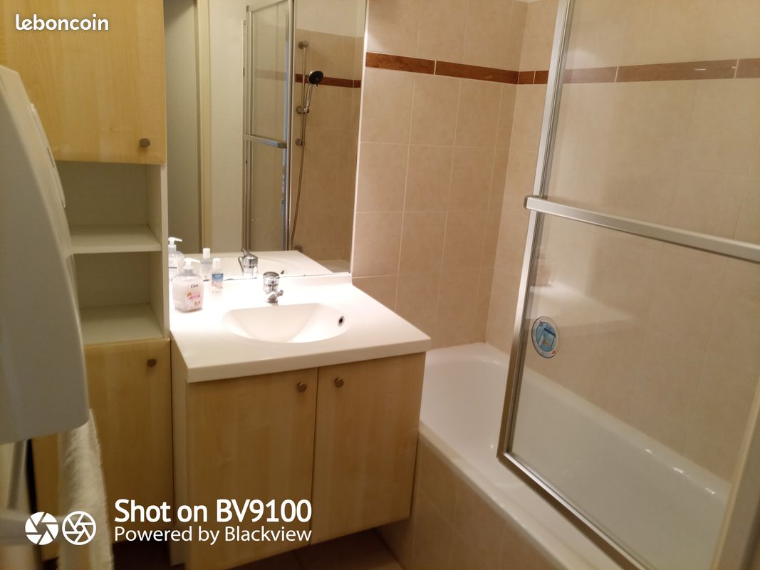 Agréable APT T2 meublé,avec parking,piscine, terrasse,jardin,42m2 - Poitiers 86000 (image principale 2)