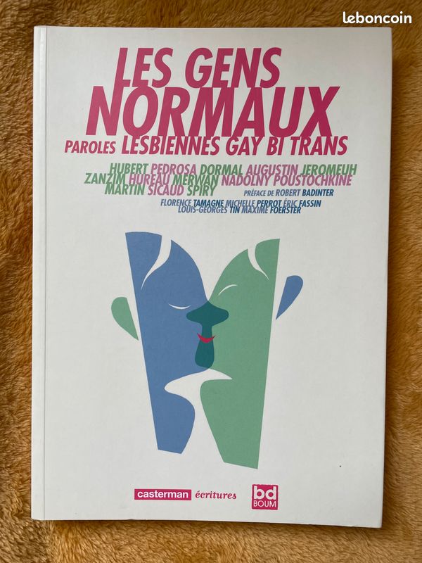 Vente occasion BD: Les Gens Normaux, Éditions Casterman, Très bon état (image 1)