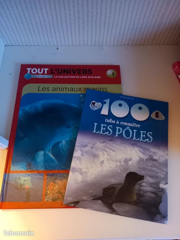 Livres documentaires et imagiers enfants (image 10)