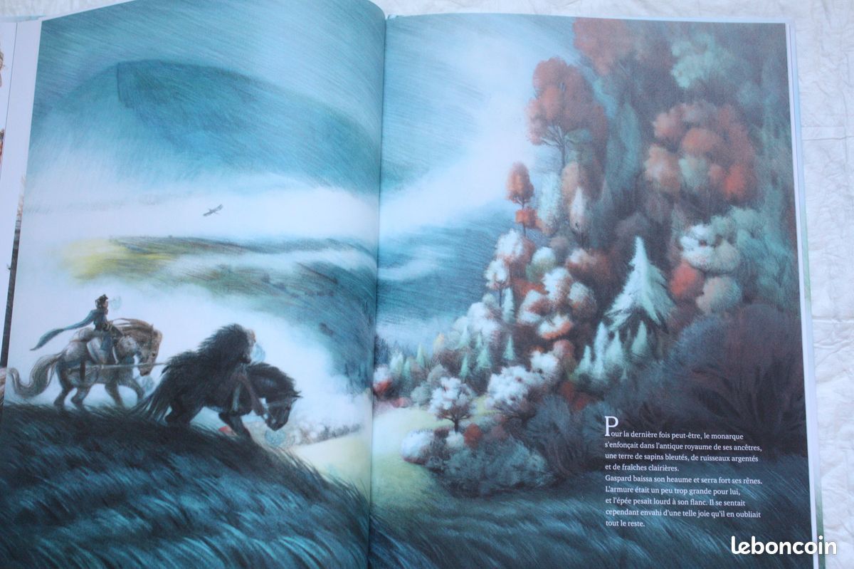 Livre grand format pour enfants LE ROI ET L'ENFANT (image 4)