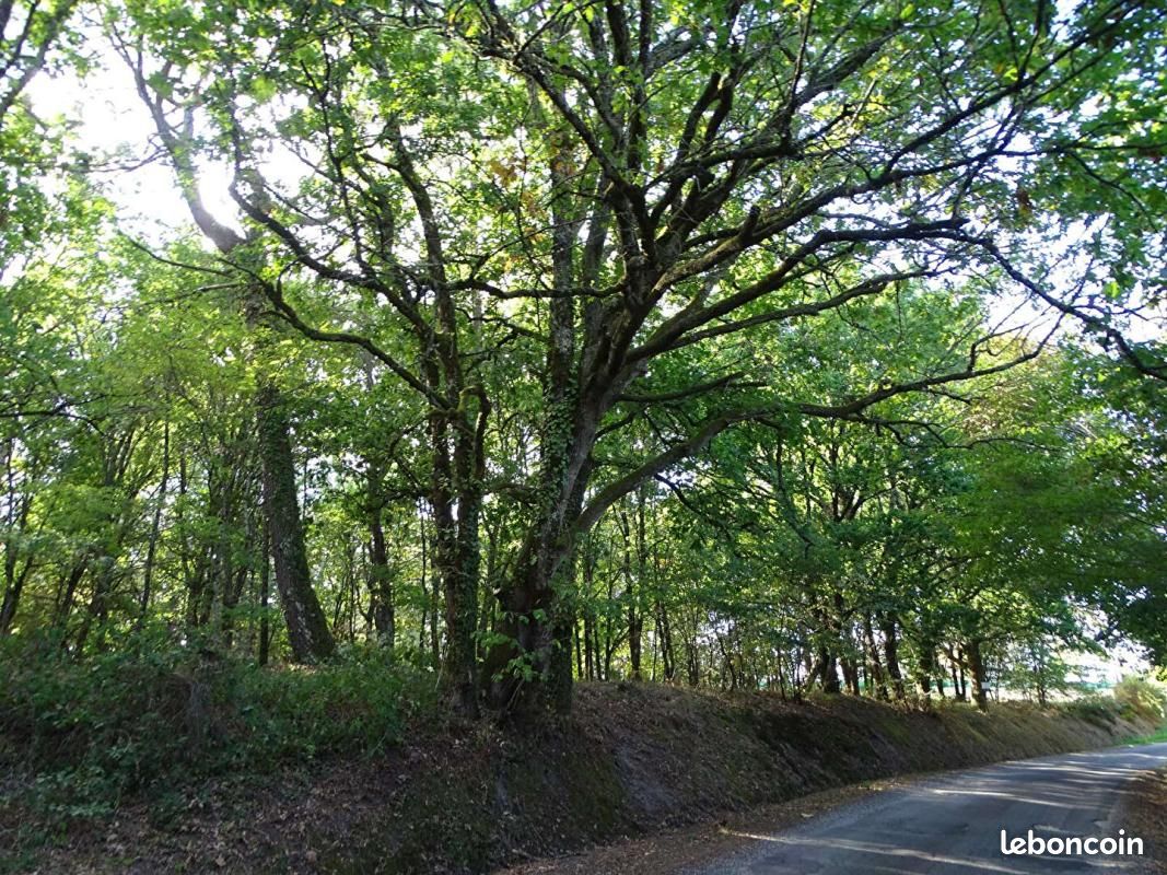 Terrain 10 260 m² Saint Laurent Des Hommes · à Saint-Laurent-des-Hommes · 50 000 €