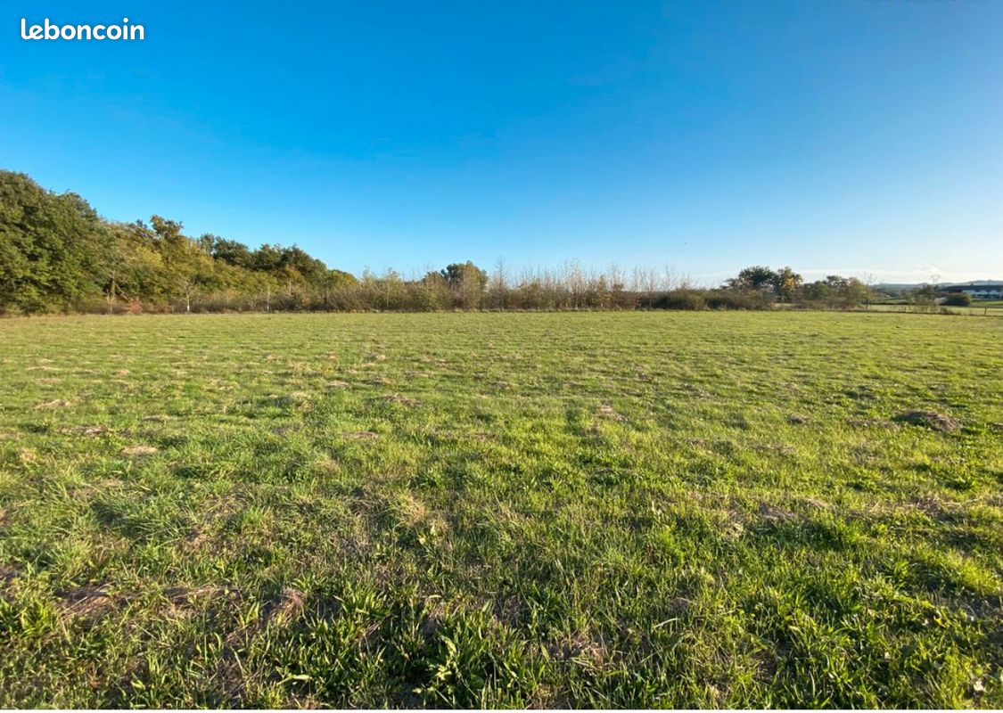 Terrain 1034 m² · à Lavaur · 1 034 m² · 124 000 €