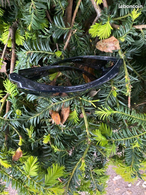 Lunette (image 4)