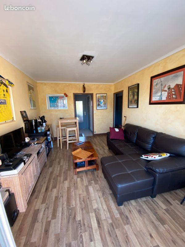 Appartement T3 Traversant - Limoges 87000 (image principale 2)