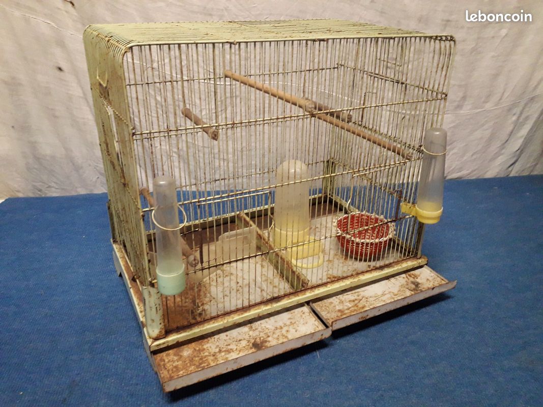 Cage à oiseaux dans son jus (image 5)