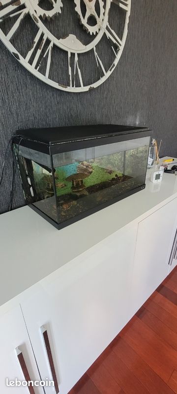 Aquarium 600×330mm (image 1)