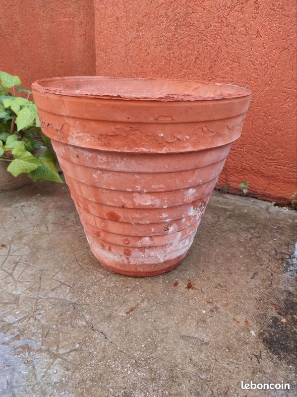 Jardinière pot de fleur plante en terre cuite vintage (image 1)