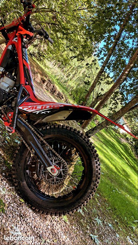 Trial Gasgas txt 250 (image 2)