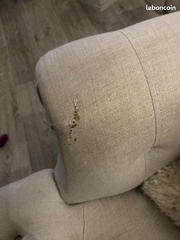 Fauteuil et chaises (image 3)