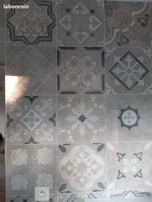 Carreaux de ciment et carrelages grés (image 1)