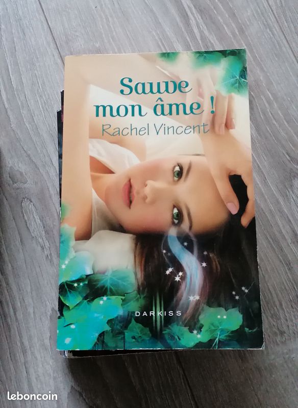 Les voleurs d'âmes Tome 1 à 4 (image 3)