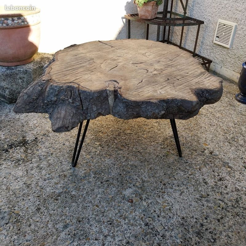Table basse tronc (image 2)